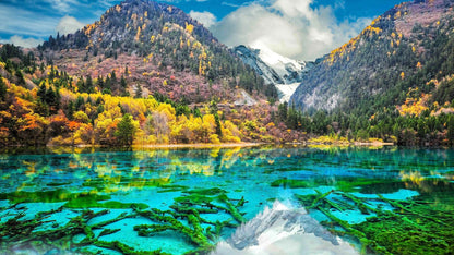 8-Days Quality tour of Xi 'an, Chongqing, Chengdu