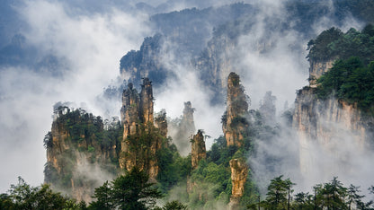 26-Day Quality Tour of Shanghai, Hangzhou, Suzhou, Guangzhou, Guilin, Guizhou, Zhangjiajie, Chongqing, Chengdu, Xi’an, Beijing